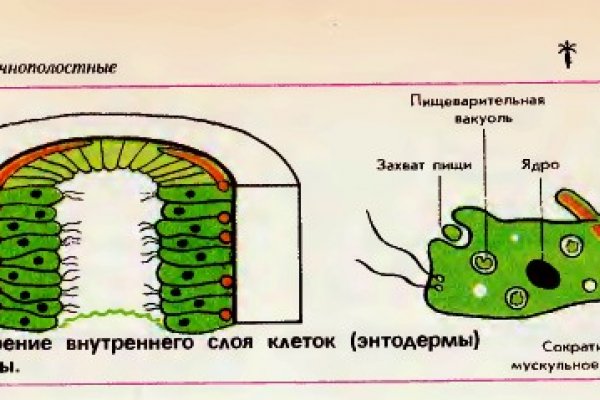 Kraken onion зеркала 2024